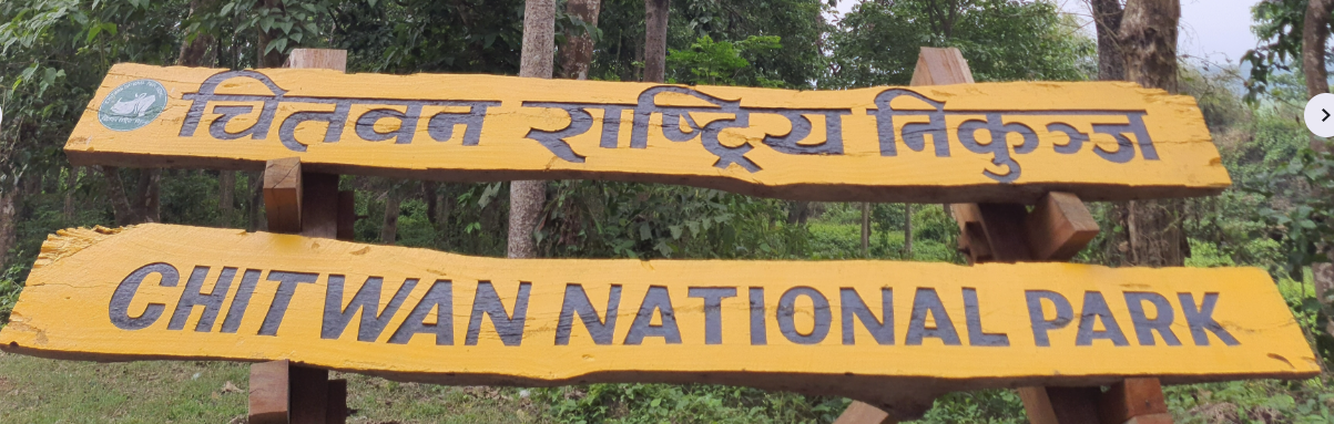 Chitwan National Park suspends jeep safaris for monsoon and wildlife breeding season
