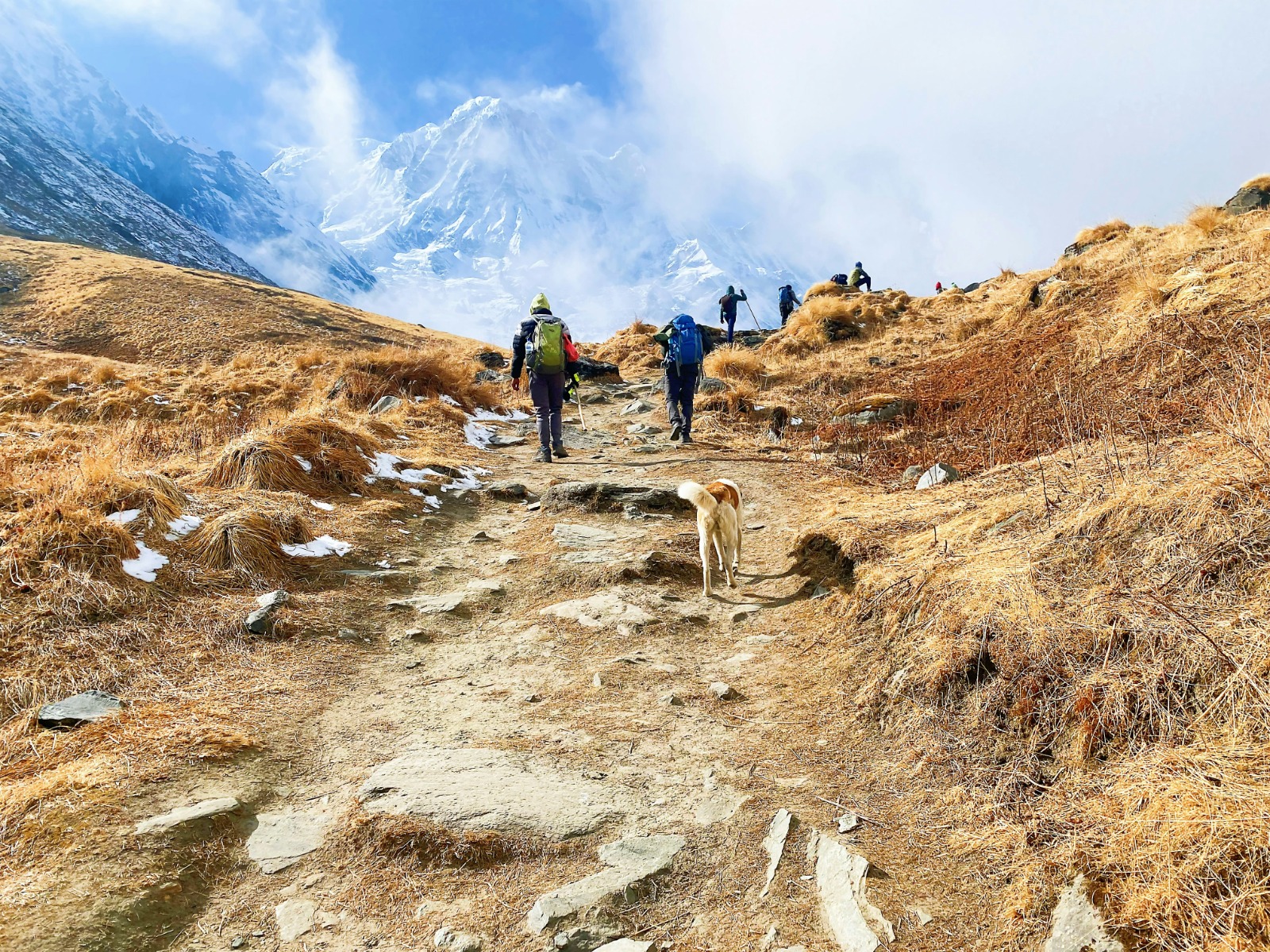 Foreign tourist arrivals in Annapurna Conservation Area rise in Bhadra