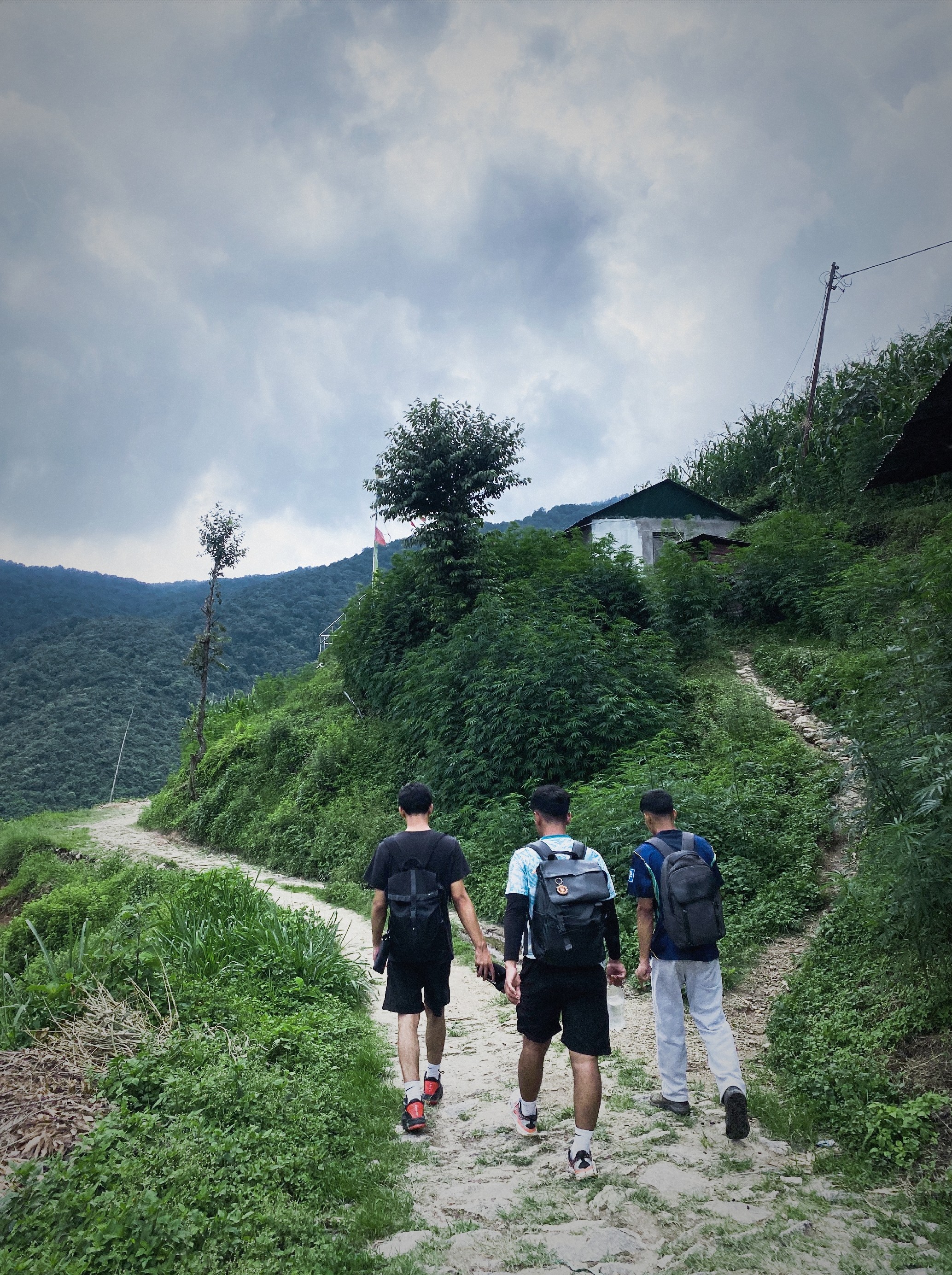 Nepal attracts over 71,000 foreign visitors in July