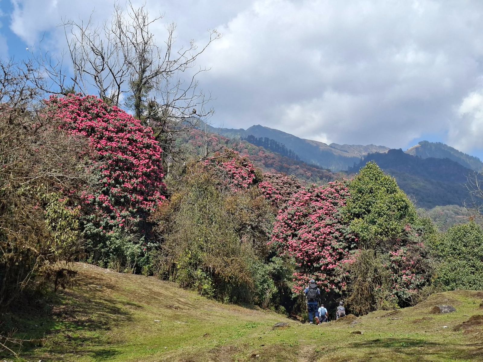 Annapurna Conservation Area draws 508,476 international visitors from 165 countries