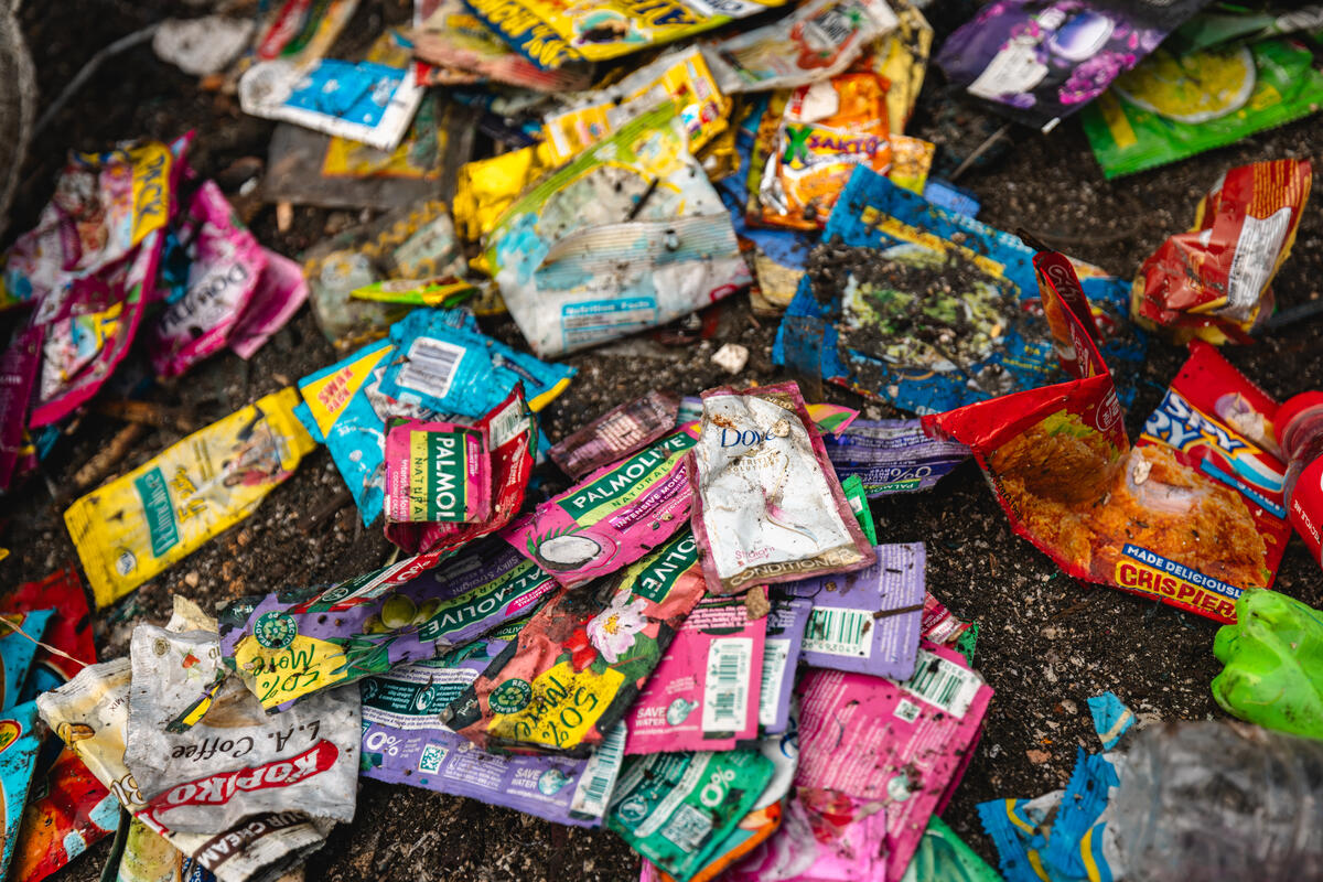 Greenpeace urges 75% cut in plastic production to avert public health crisis