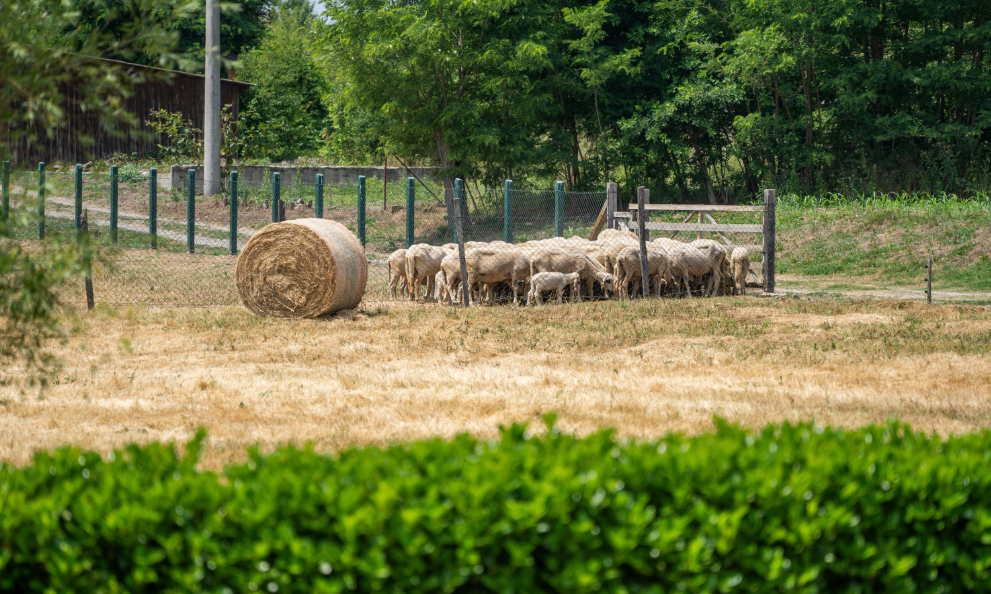 Switzerland backs sustainable rural tourism development in Serbia