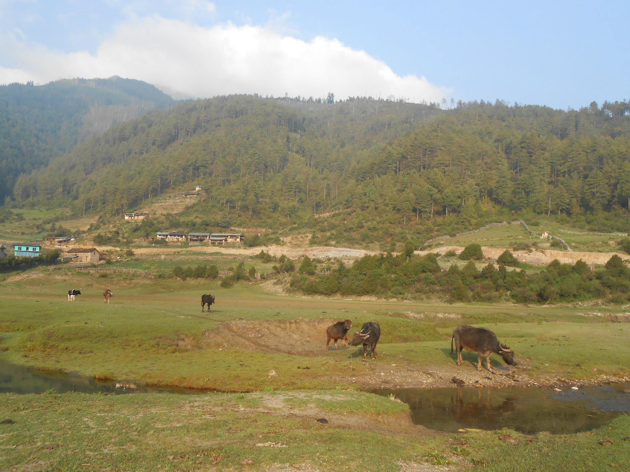 Tourism on the rise in Nepal’s only hunting reserve, Dhorpatan